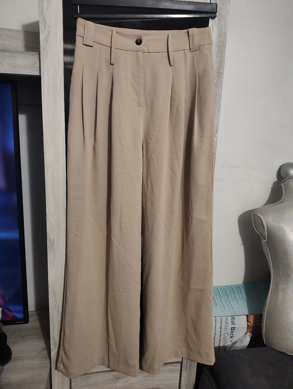 Kourt Wide Leg Pleated Trousers in Light Beige SZ Small New With Tags Sample Pz